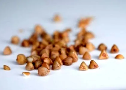 calorii