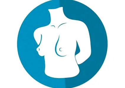 mamelonului studioul