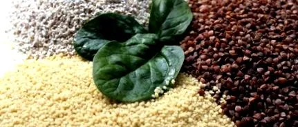 couscous