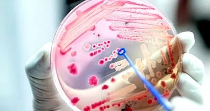 antibiotice