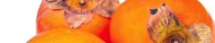 puntode