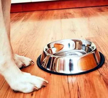 simptomelor