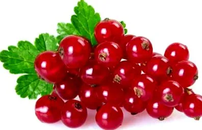 vitaminbombák bogyós gyümölcsök