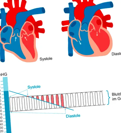 heart heart