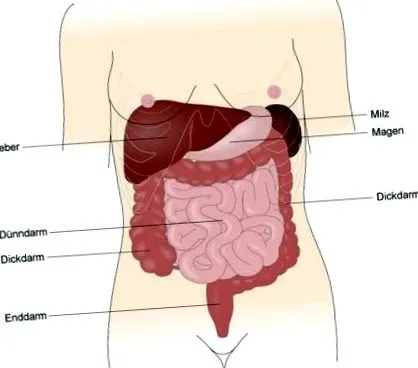 gastro-intestinale