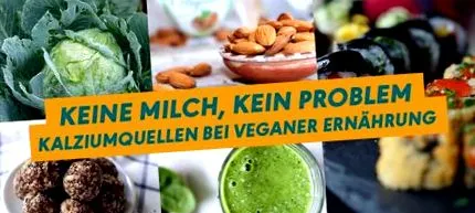 vegán étrendben