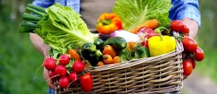 alimentar