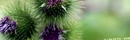 puterea