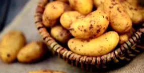 scăzut