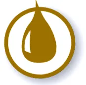 túlsúlyos