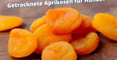 gyümölcsök