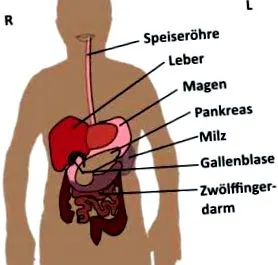 detectați test