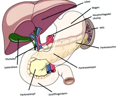 spital