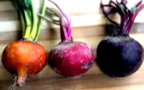 nutriția