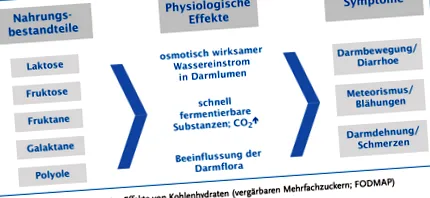 alacsony FODMAP diéta
