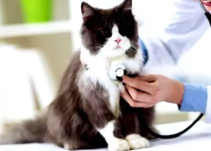 anémiu