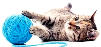 warentest Stiftung Warentest