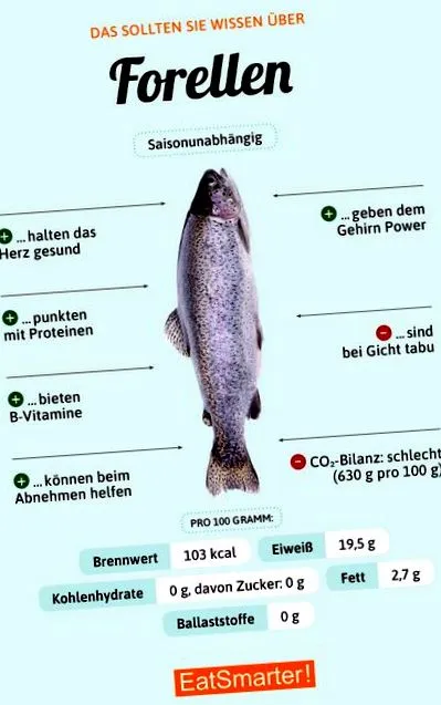 Pisztráng infographic