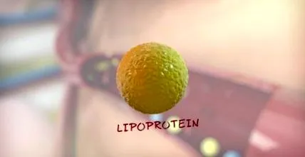 lipidic