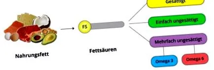 telítetlen zsírsavakból