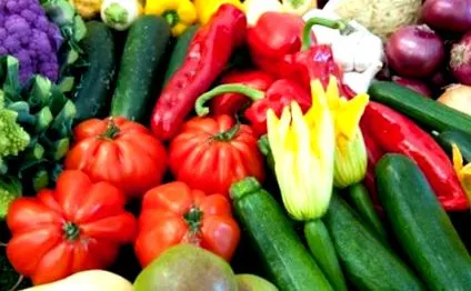 alimentație