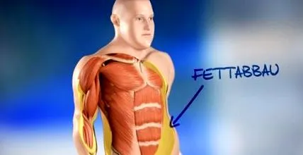 musculară