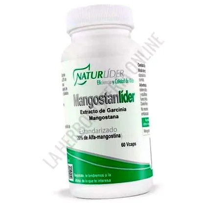 mangostanlider