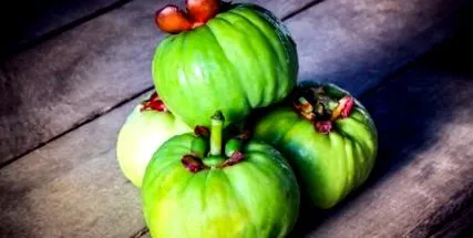 cambogia