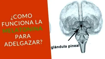 отслабване