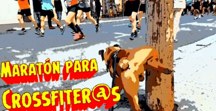 maraton