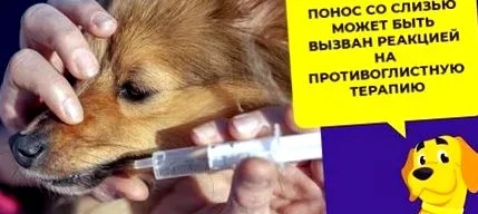 най-ефективните