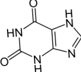 hólyagkő