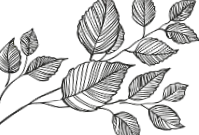 menü