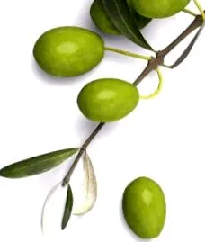pikkelysömör