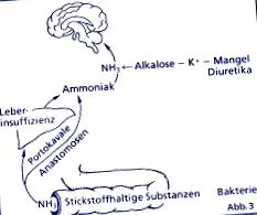 máj-encephalopathiák