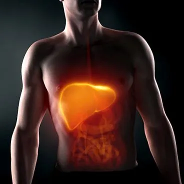 hepatomegalie
