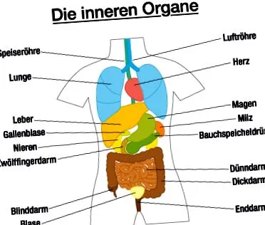 hepatoza tratament