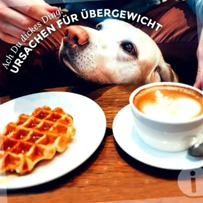 tippek tippek