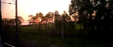 local