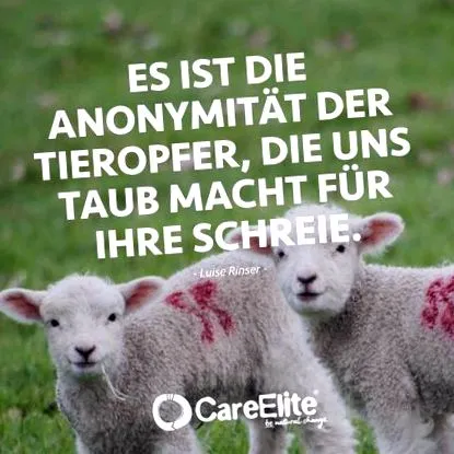 careelite careelite