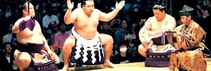 sportul japonez