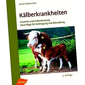 bolilor