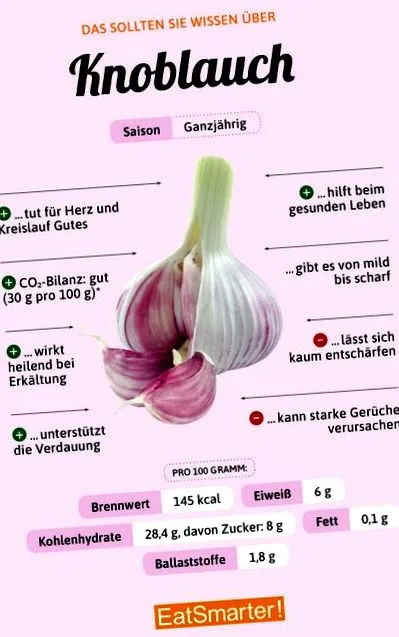 Fokhagyma infographic