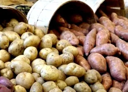 слаткиот компир