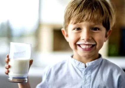 kefir