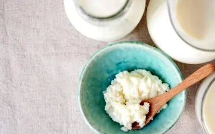 kefir