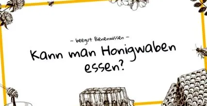 méhsejteket beegut