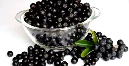 juice aronia