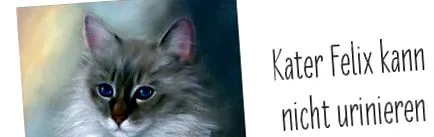 felix