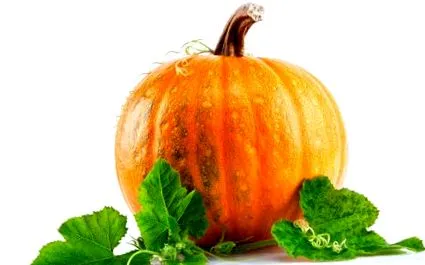 здравиот